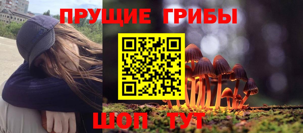 Галлюциногенные грибы Psilocybine cubensis Коломна