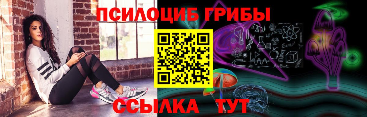 Коломна  Галлюциногенные грибы ЛСД  Галлюциногенные грибы Psilocybe  Вход с VPN 